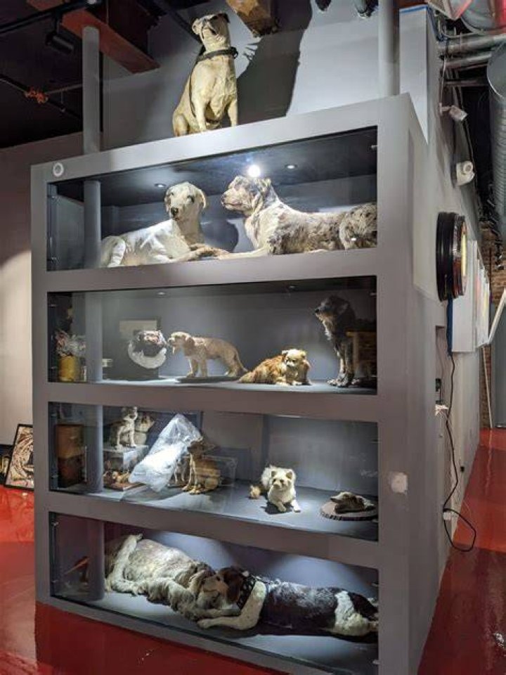 Museum Of Death