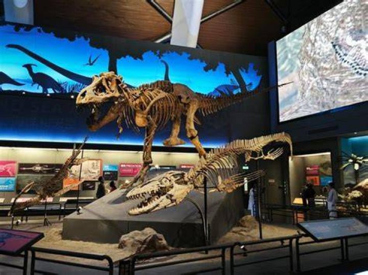 Museum Of Jurassic Technology