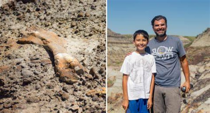 Nathan Hrushkin And Dinosaur Fossil