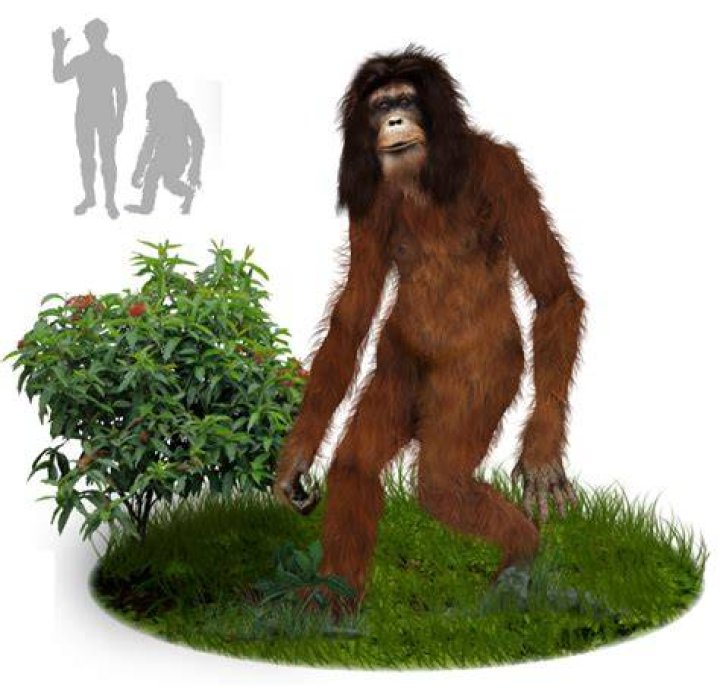 Orang Pendek Cast