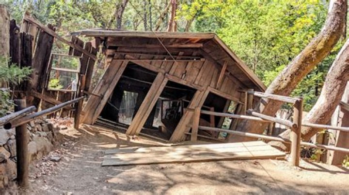 Oregon Vortex