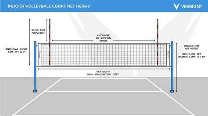 Peteru net height