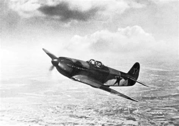 Plane Flown By Vasily