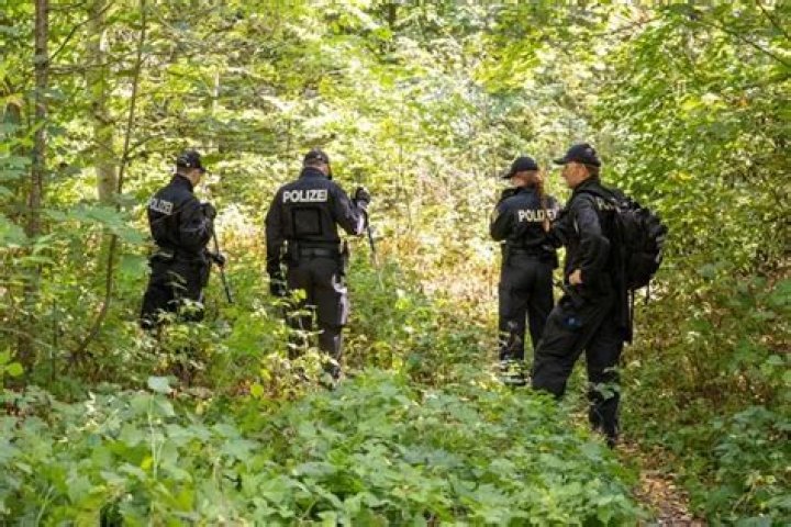 Police Searching The Woods