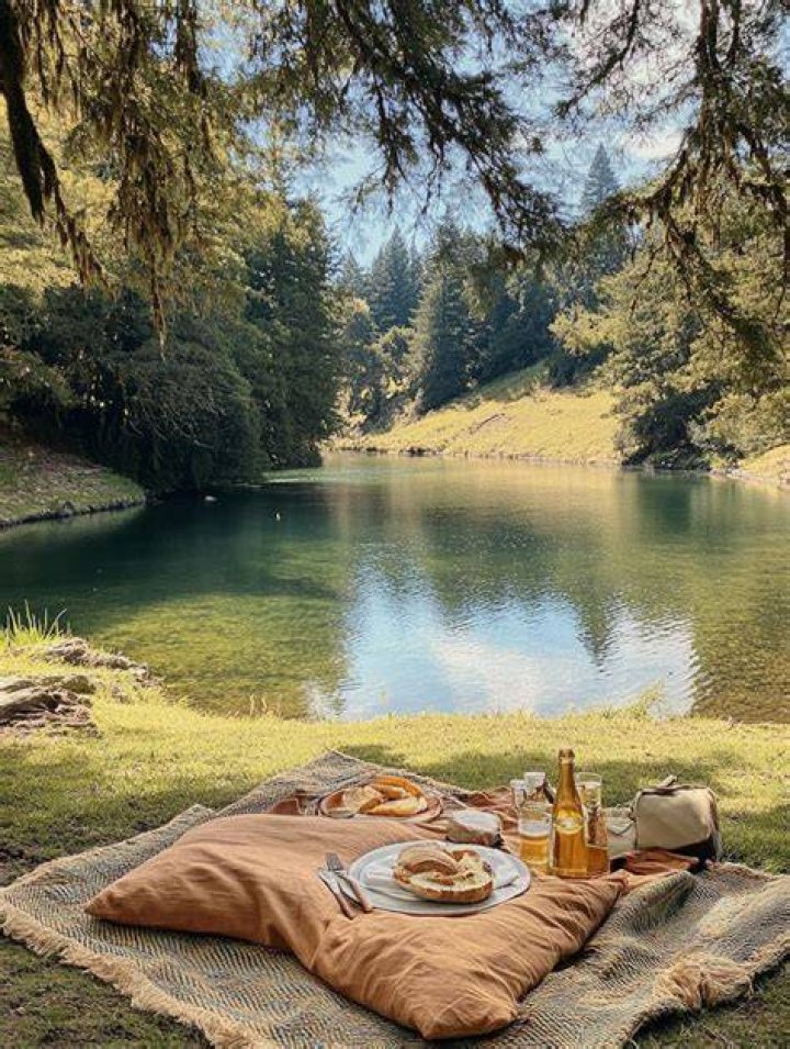 Quiet Picnic