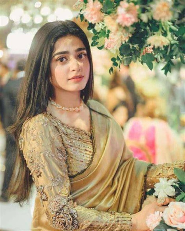 Sehar Khan Net worth, Profession & Income