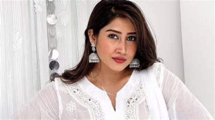 Sofia Ansari Net worth and income