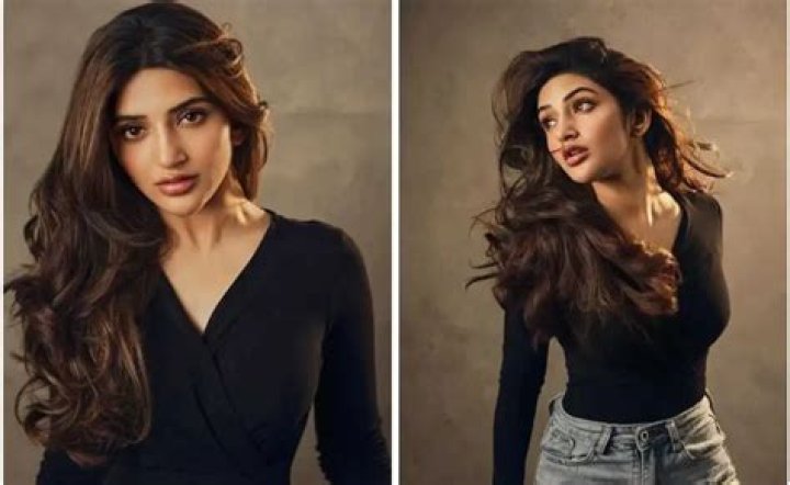 Sreeleela Net Worth Income