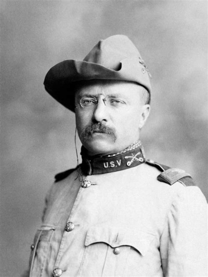 Teddy Roosevelt In Uniform