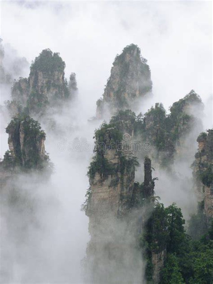 Tianzi Mist