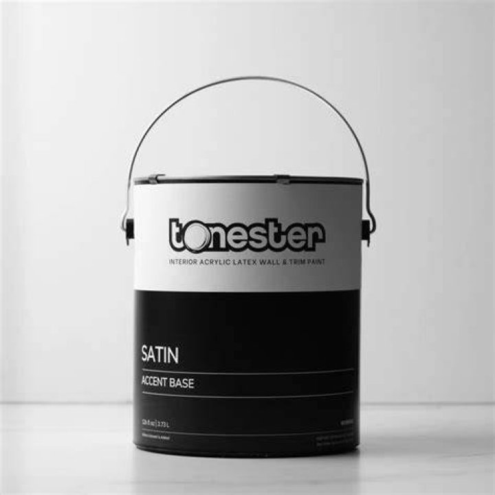 TONESTER PAINTS Age, Height, Nationality, Education, Wiki, Biography