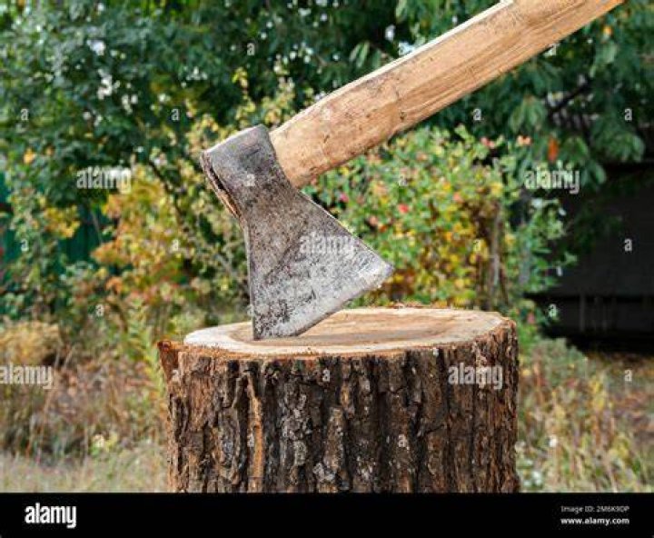 Tree Root Ax