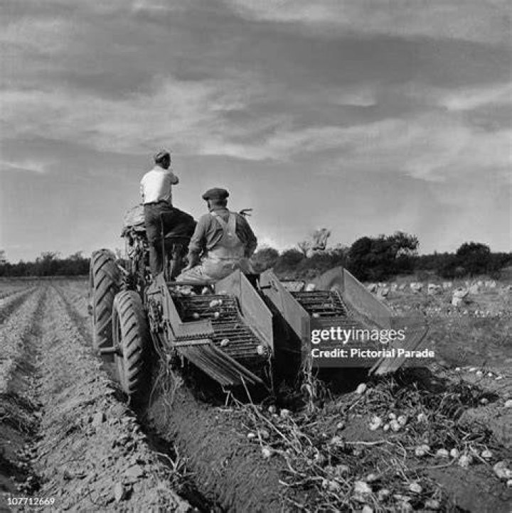 Two Men Hide Behind Tractor With Guns
