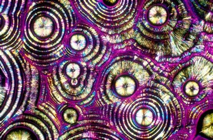 Vodka Under A Microscope