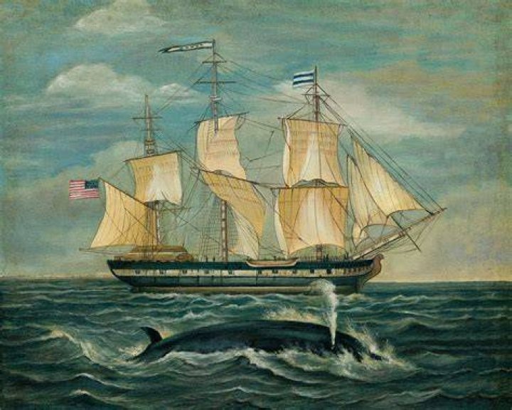 Whaling Ship