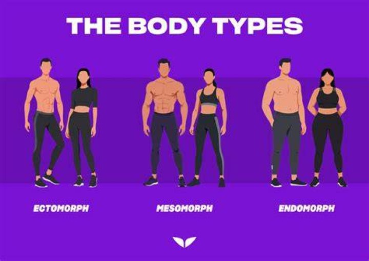 What body type is Barbara Palvin?