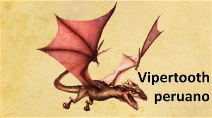 What does a Peruvian Vipertooth dragon look like?
