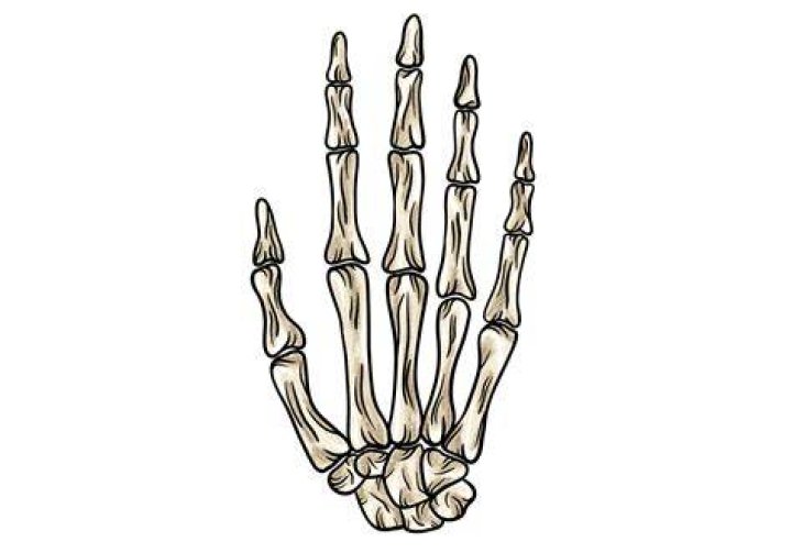 What does a skeleton hand and rose tattoo mean?