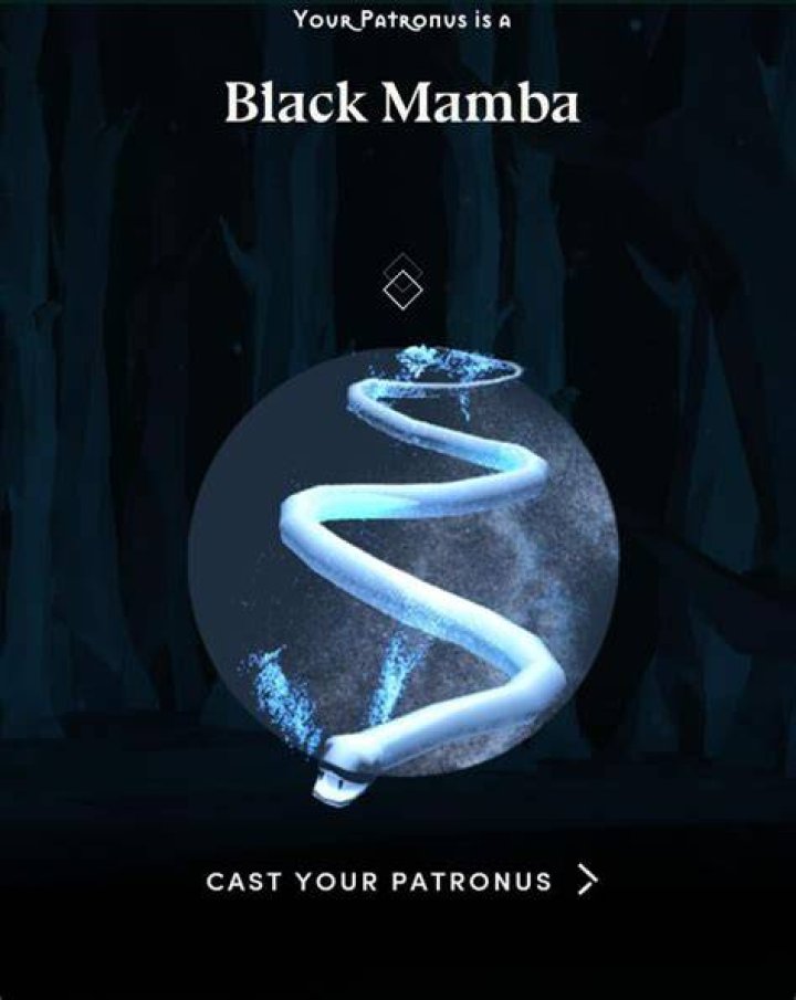 What does Black Mamba Patronus mean?