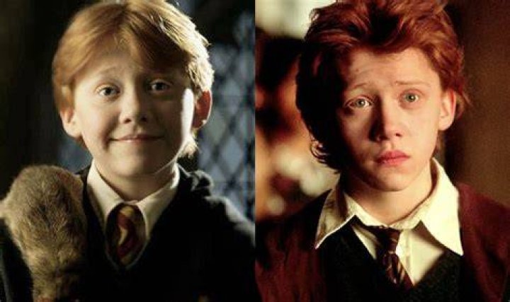 What does Ron suspect happened to his pet Puffskein?