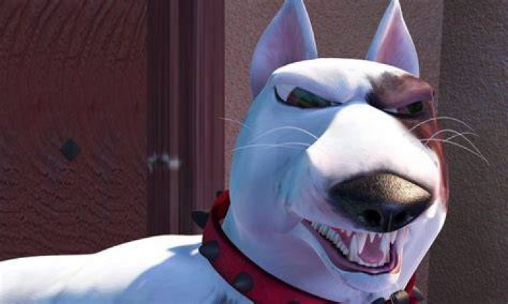 What is the name of Sid’s dog?