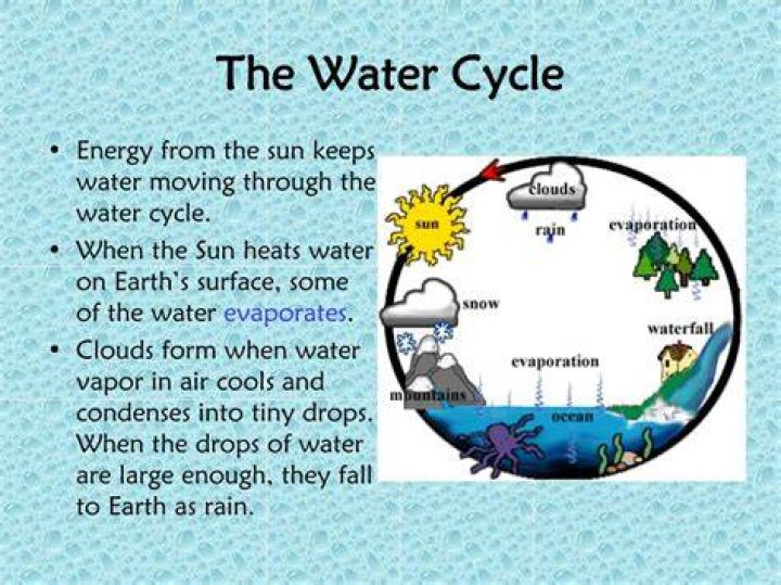 What role does the sun and gravity play in the water cycle