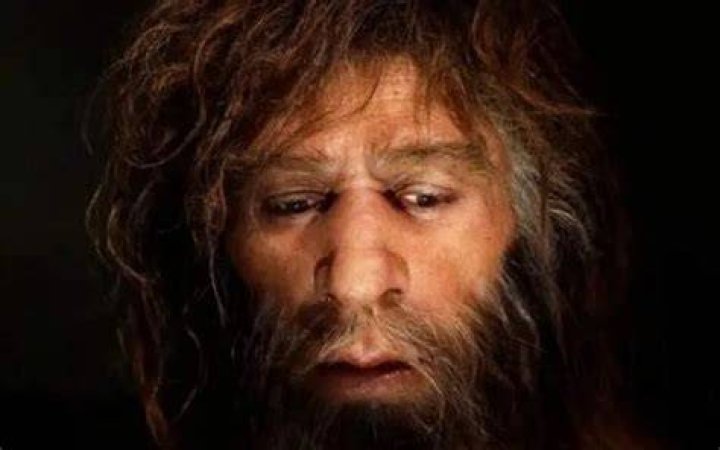 چه چیزی باعث موفقیت مغول ها شد؟